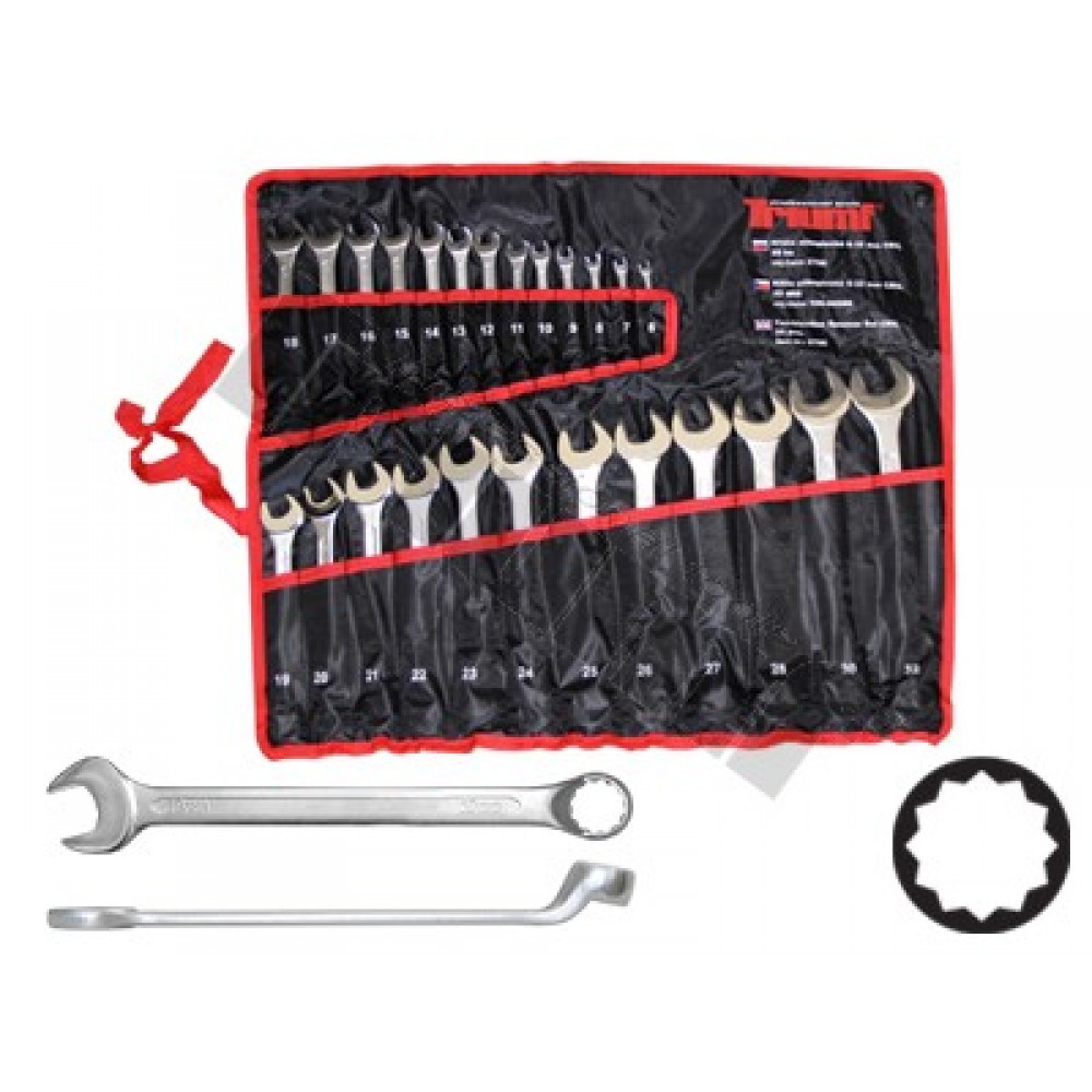 Zestaw kluczy płasko-oczkowych wygiętych 75 st. 6-32 mm , 25 szt. TRIUMF PROFESSIONAL