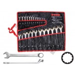 Zestaw kluczy płasko-oczkowych wygiętych 75 st. 6-32 mm , 25 szt. TRIUMF PROFESSIONAL
