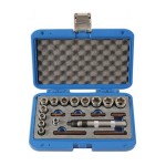 Wykrętak udarowy z nasadkami i bitami 3/8", 20 cz.  ROOKS